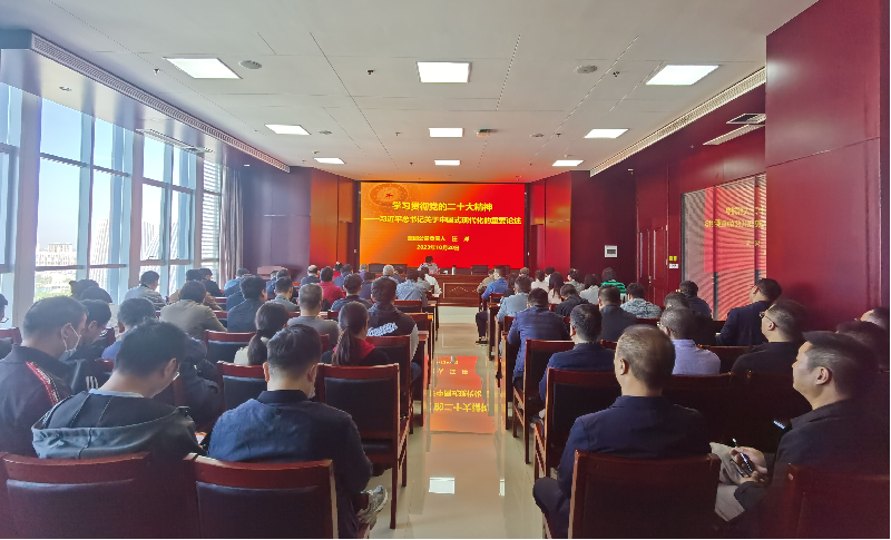 緊跟核心強(qiáng)忠誠(chéng) 在深學(xué)細(xì)悟中堅(jiān)定信仰信念 ——集團(tuán)公司負(fù)責(zé)人汪洋同志為全體黨員講授主題教育專(zhuān)題黨課